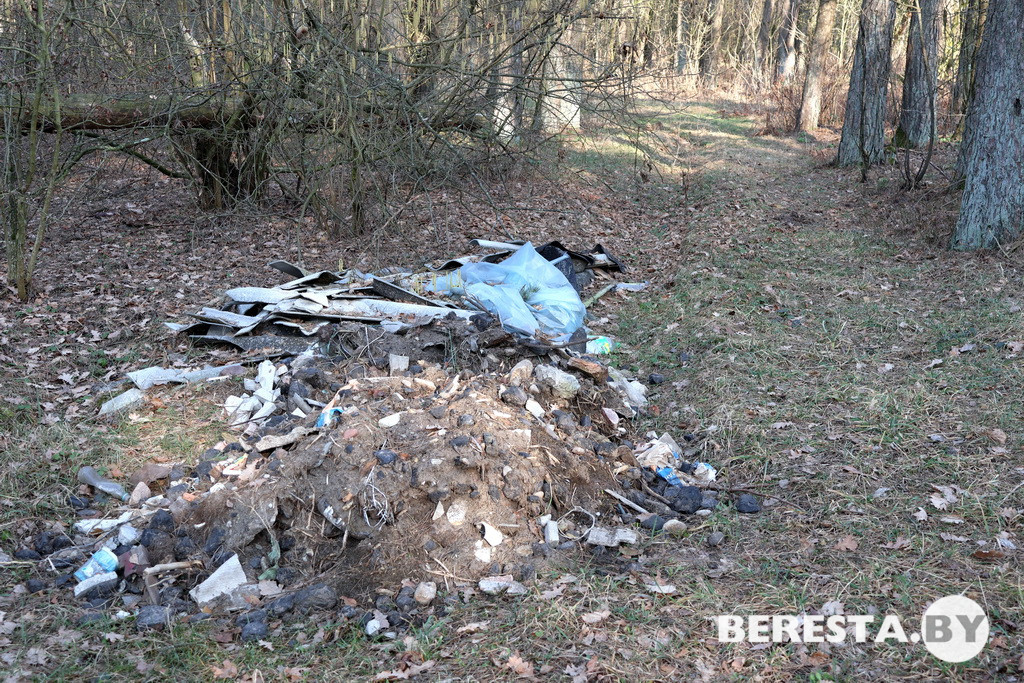 IMG_4015.JPG IMG_4015.JPG