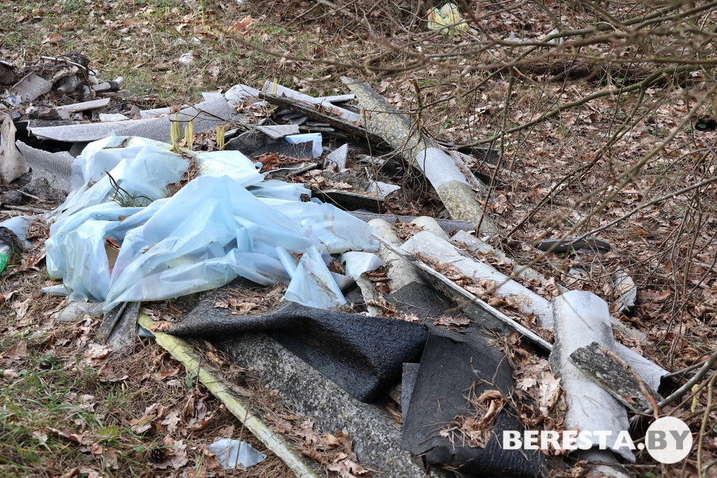 IMG_4022.JPG IMG_4022.JPG