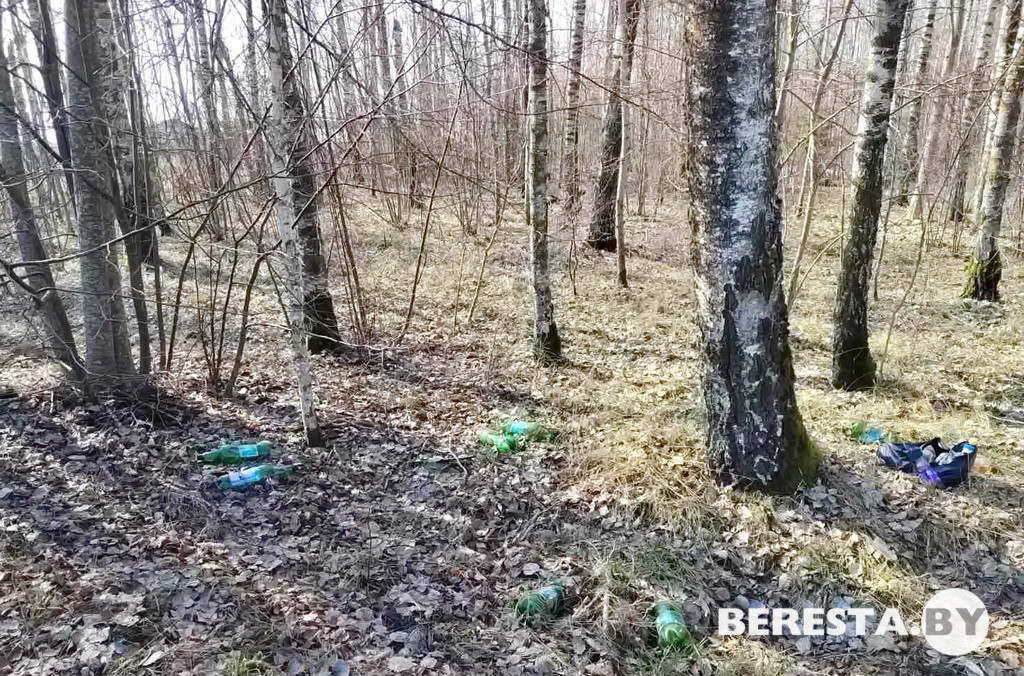 пограничный1.jpg пограничный1.jpg